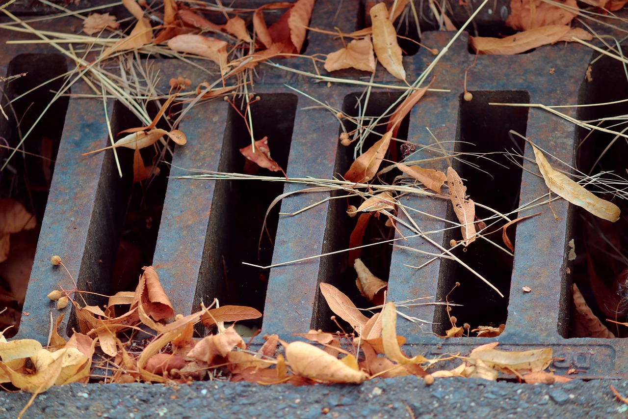 Cast iron drain grate blocked with autumn leaves